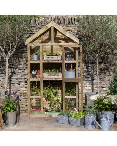 Georgian Tall Wall Greenhouse with Auto Vent